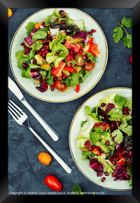 Salad of fresh vegetables and lettuce. Framed Print by Mykola Lunov Mykola