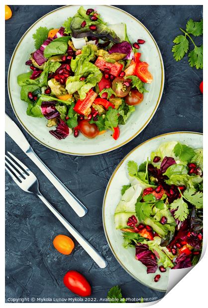 Salad of fresh vegetables and lettuce. Print by Mykola Lunov Mykola