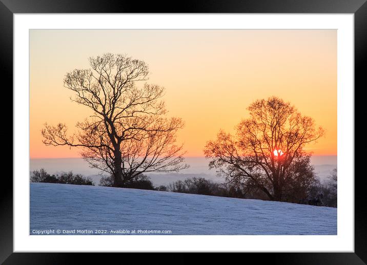 Sunrise and Trees on a Frosty Morning Framed Mounted Print by David Morton