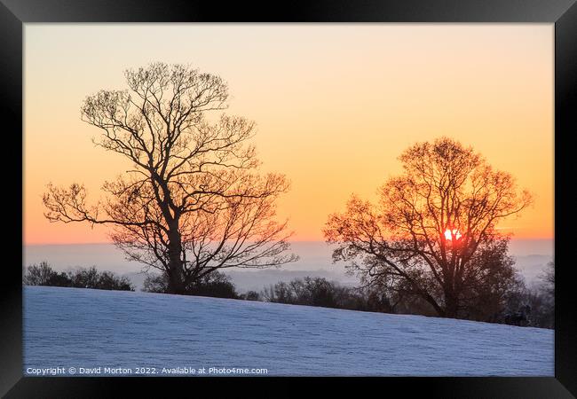Sunrise and Trees on a Frosty Morning Framed Print by David Morton