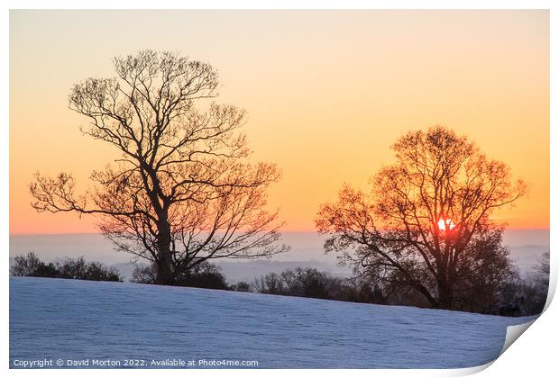 Sunrise and Trees on a Frosty Morning Print by David Morton