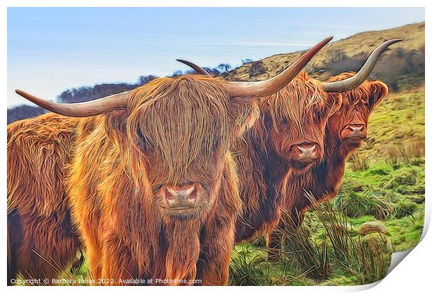 Highland Cow Trio Isle of Skye Scotland Print by Barbara Jones