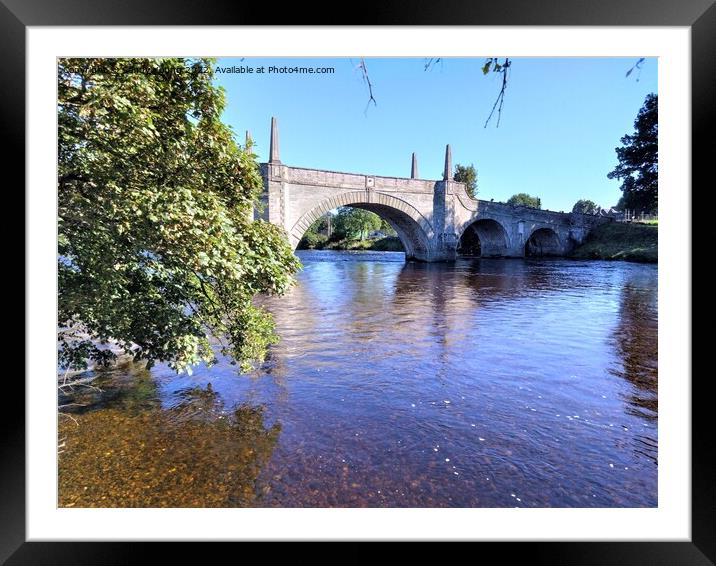 Majestic Wades Bridge Over River Tay Framed Mounted Print by Sandy Young