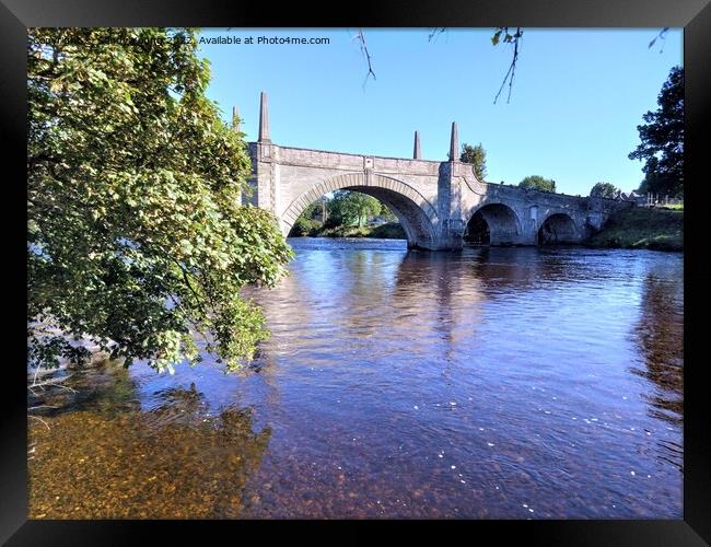 Majestic Wades Bridge Over River Tay Framed Print by Sandy Young