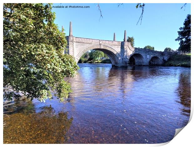 Majestic Wades Bridge Over River Tay Print by Sandy Young