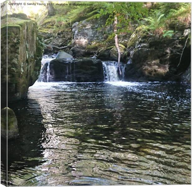 Majestic Devils Cauldron Canvas Print by Sandy Young