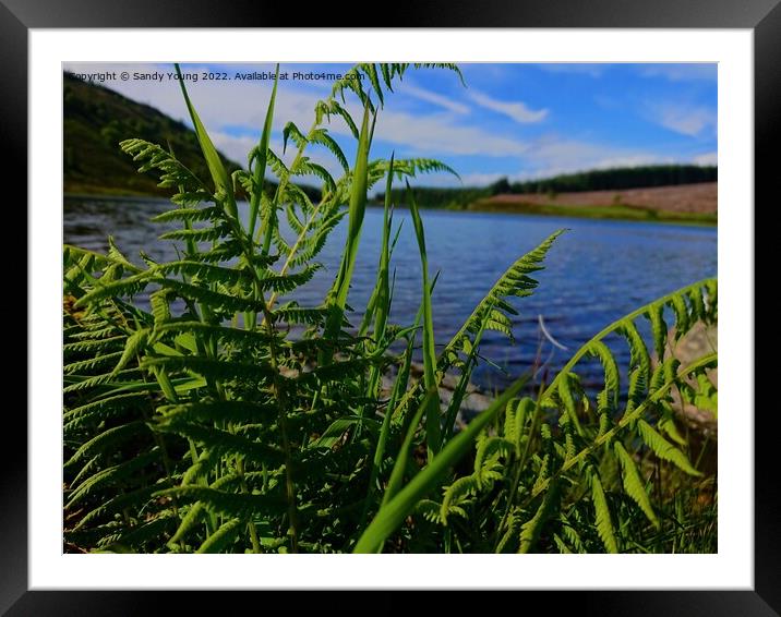 Serenity on Loch Na Craig Framed Mounted Print by Sandy Young