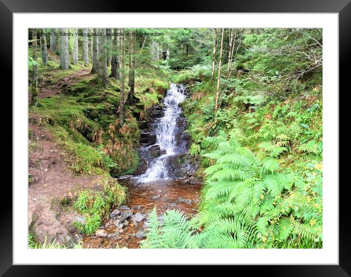 Enchanting Waterfall in Scottish Forest Framed Mounted Print by Sandy Young