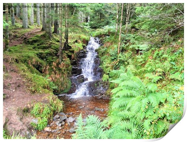 Enchanting Waterfall in Scottish Forest Print by Sandy Young