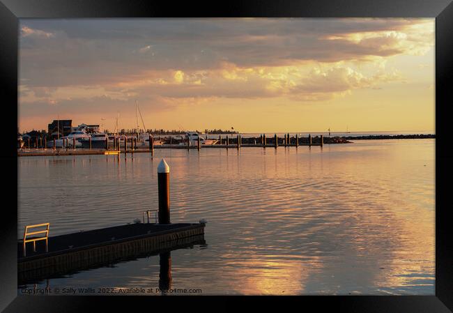 Sunset on Adelaide Yacht Harbour Framed Print by Sally Wallis
