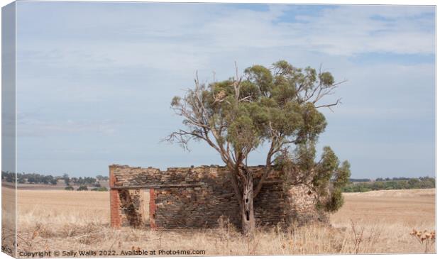 Ruined building South Australia Canvas Print by Sally Wallis