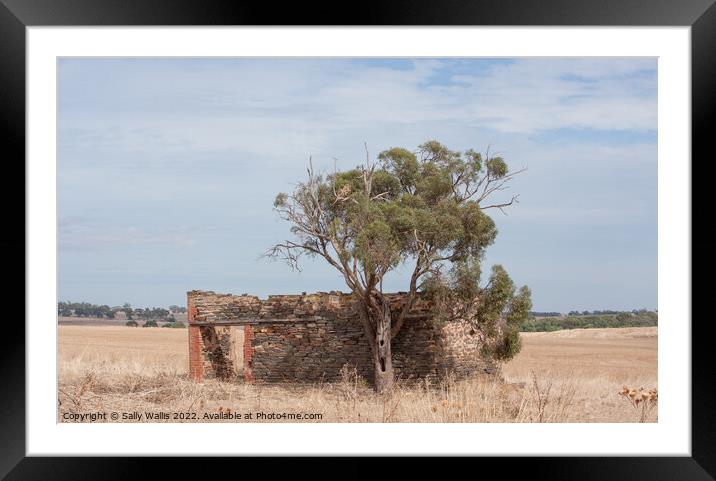 Ruined building South Australia Framed Mounted Print by Sally Wallis