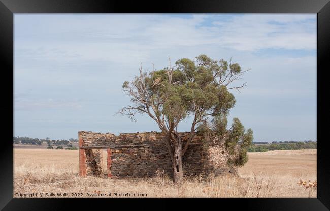 Ruined building South Australia Framed Print by Sally Wallis