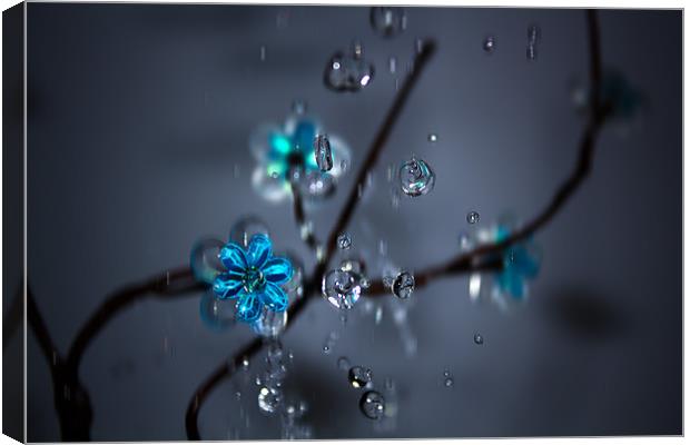 flower and drops Canvas Print by dal kumar pun