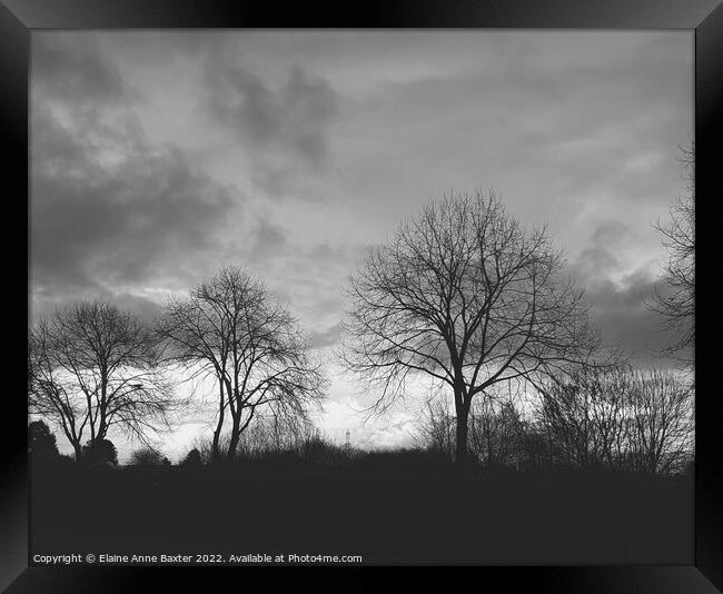 Silhouette Morning Sky  Framed Print by Elaine Anne Baxter