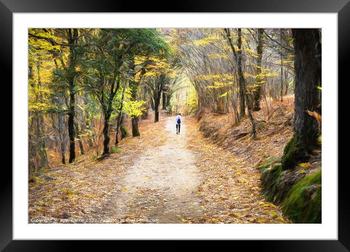 Autumn walk through Montseny - CR2211-8333-OIL Framed Mounted Print by Jordi Carrio