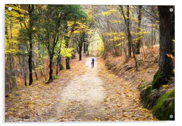 Autumn walk through Montseny - CR2211-8333-OIL Acrylic by Jordi Carrio
