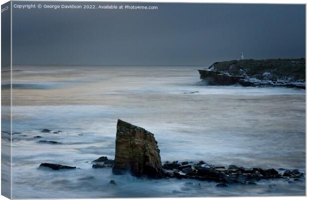 North East Sea Stack  Canvas Print by George Davidson