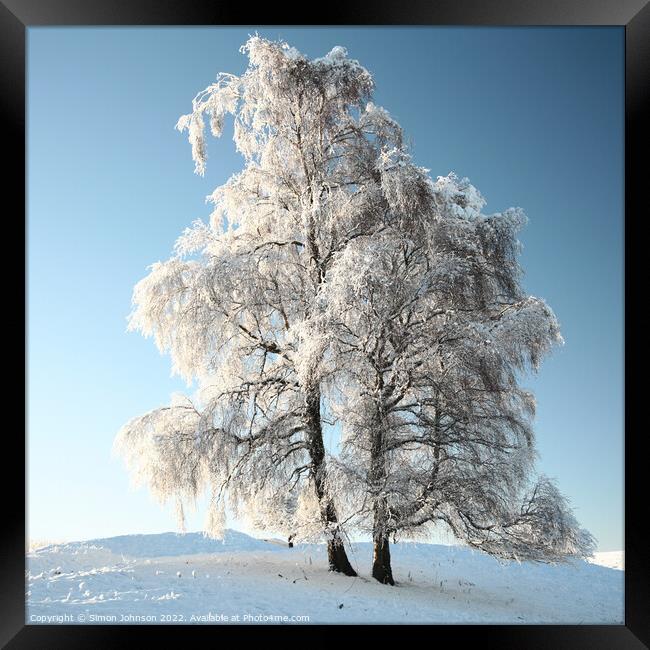 Yeti  Tree Framed Print by Simon Johnson