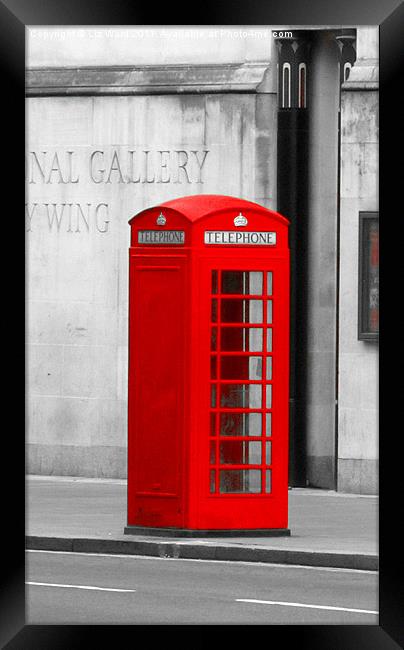 Red Phone Box Framed Print by Liz Ward