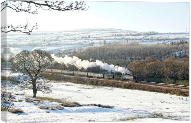 Steam and snow at Irwell Vale. Canvas Print by David Birchall