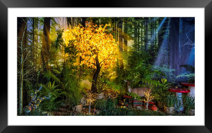 Magical Forest Framed Mounted Print by kathy white