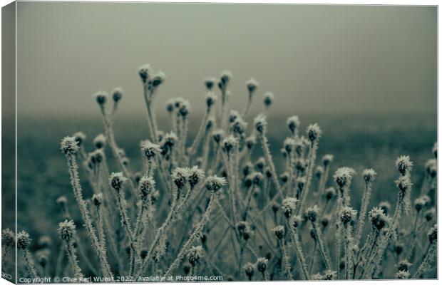 Frost Bite Canvas Print by Clive Karl Wuest