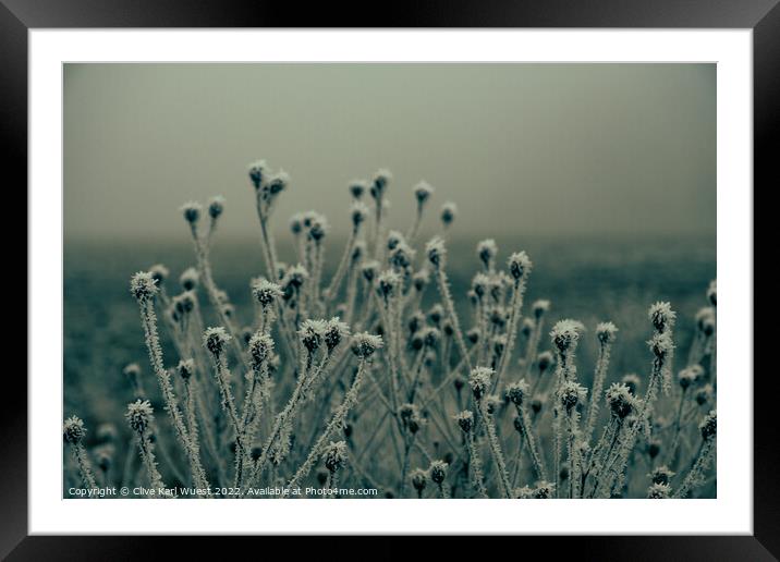 Frost Bite Framed Mounted Print by Clive Karl Wuest