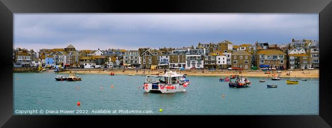  St Ives Harbour Panoramic    Framed Print by Diana Mower