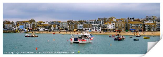  St Ives Harbour Panoramic    Print by Diana Mower