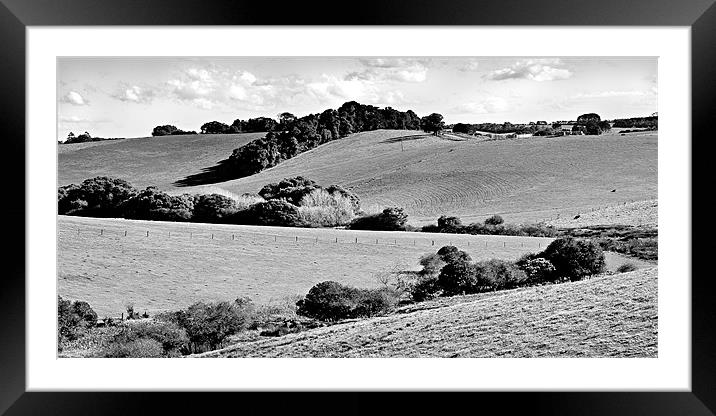Comboyne Pastures 1 bw Framed Mounted Print by Dennis Gay