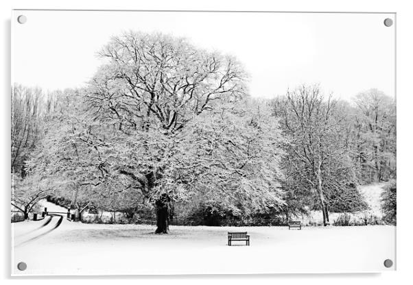 Winter Tree Acrylic by Graham Lathbury
