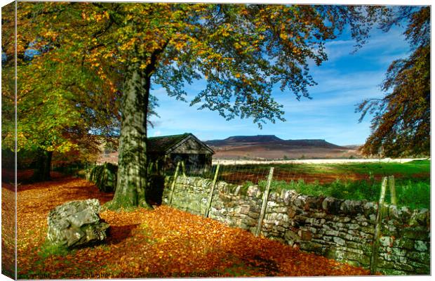 Longshaw Barn and Higger Tor Canvas Print by Alison Chambers