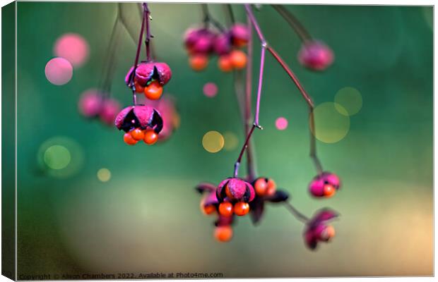 Winter Berries Canvas Print by Alison Chambers