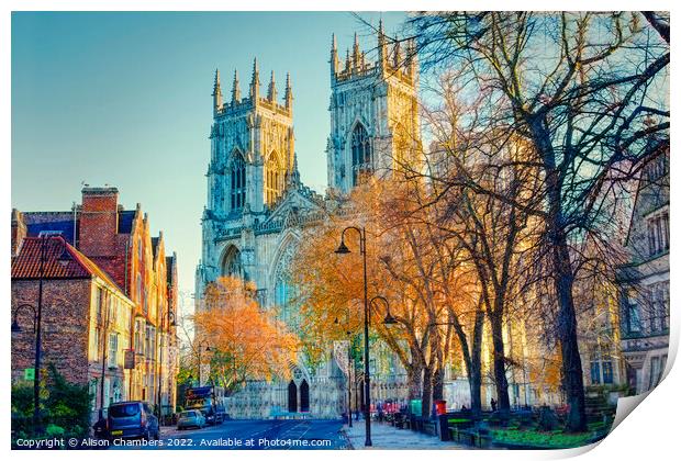 York Minster in Autumn  Print by Alison Chambers