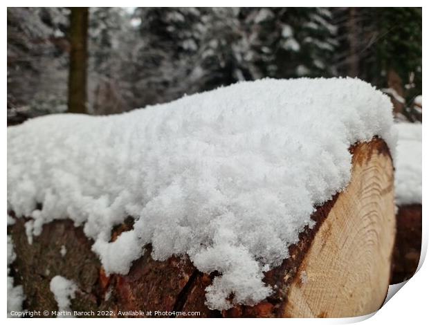 Snow on wooden logs  Print by Martin Baroch