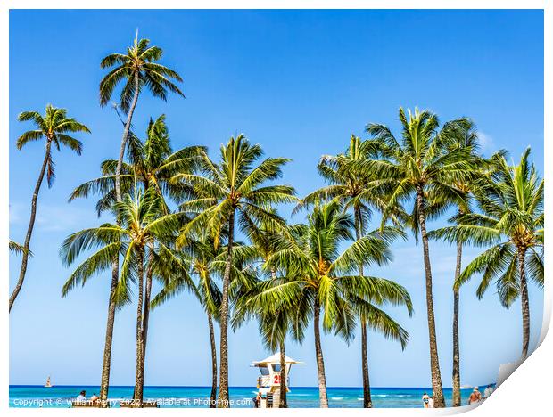 Colorful Lifeguard Station Palm Trees Waikiki Beach Honolulu Haw Print by William Perry