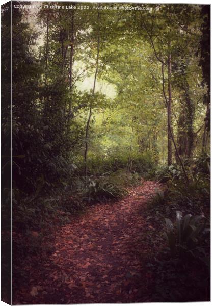 Show Me The Way Canvas Print by Christine Lake