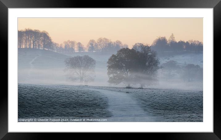 Petworth Park - Winter Morning Framed Mounted Print by Chester Tugwell