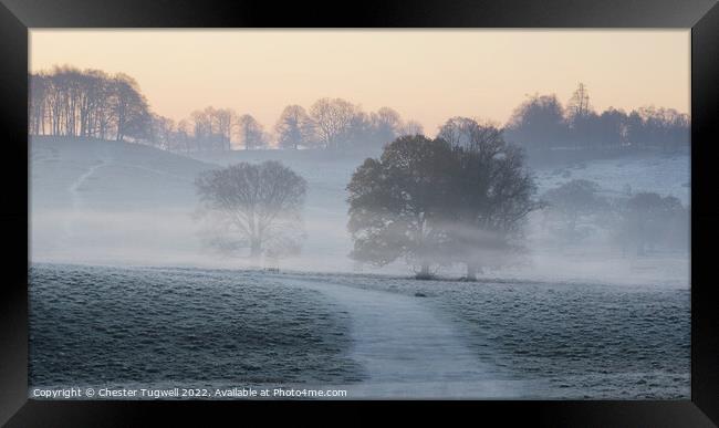 Petworth Park - Winter Morning Framed Print by Chester Tugwell