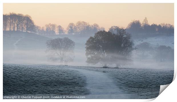 Petworth Park - Winter Morning Print by Chester Tugwell