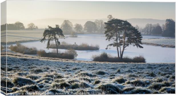 Frozen Lake in Petworth Park Canvas Print by Chester Tugwell