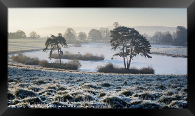 Frozen Lake in Petworth Park Framed Print by Chester Tugwell