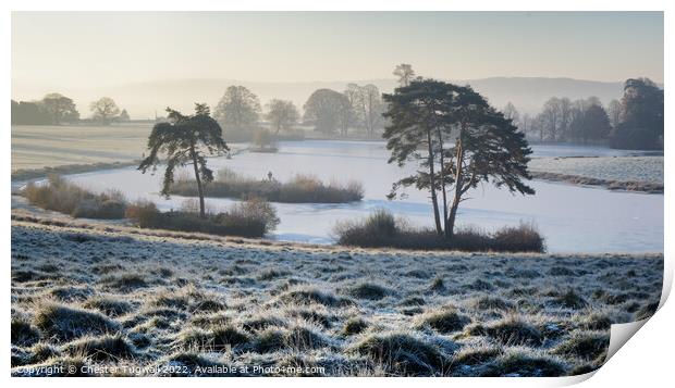Frozen Lake in Petworth Park Print by Chester Tugwell