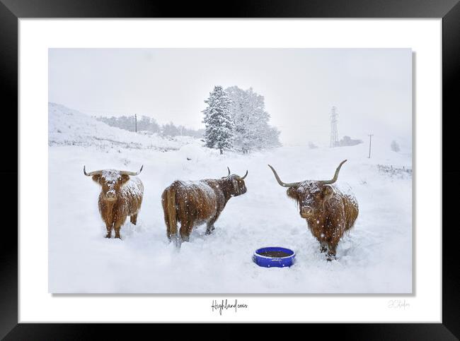 Highland cows in  snow framed Scotland Scottish Framed Print by JC studios LRPS ARPS