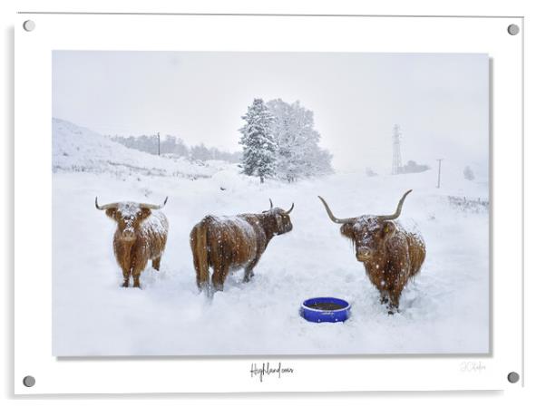 Highland cows in  snow framed Scotland Scottish Acrylic by JC studios LRPS ARPS