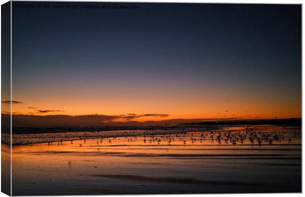 Silhouetted Seagulls on the Sand before Sunrise Canvas Print by Jim Jones