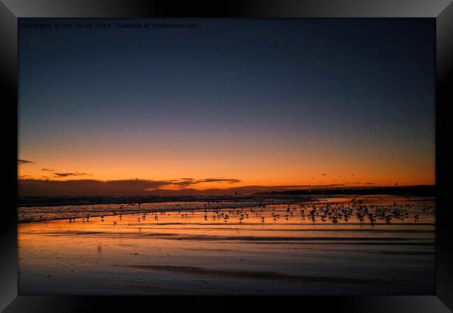Silhouetted Seagulls on the Sand before Sunrise Framed Print by Jim Jones