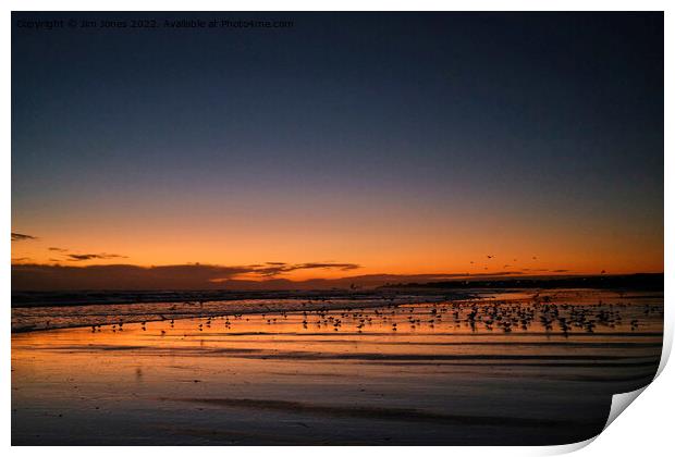 Silhouetted Seagulls on the Sand before Sunrise Print by Jim Jones