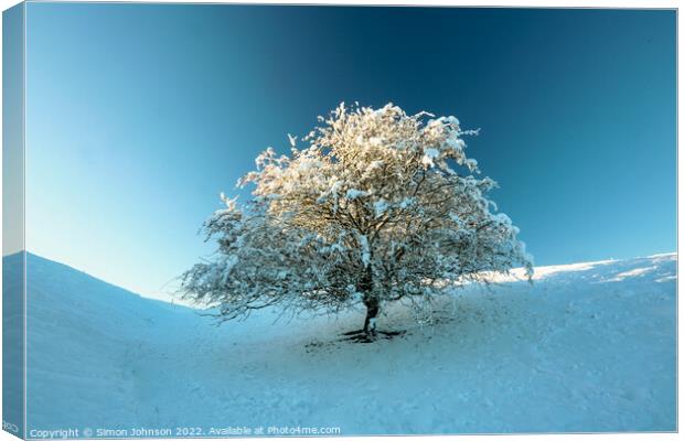 Frosted  tree Canvas Print by Simon Johnson